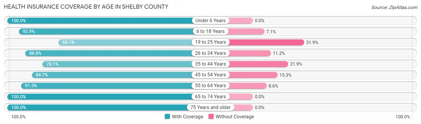 Health Insurance Coverage by Age in Shelby County