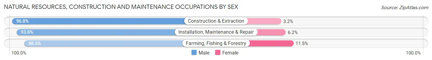 Natural Resources, Construction and Maintenance Occupations by Sex in St. Charles County