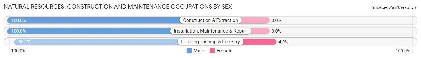 Natural Resources, Construction and Maintenance Occupations by Sex in Stoddard County