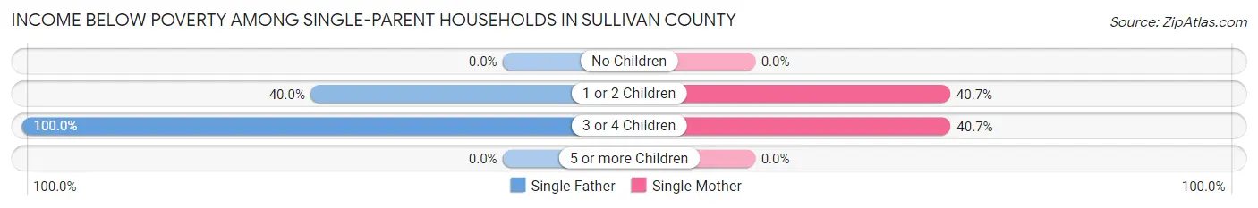Income Below Poverty Among Single-Parent Households in Sullivan County