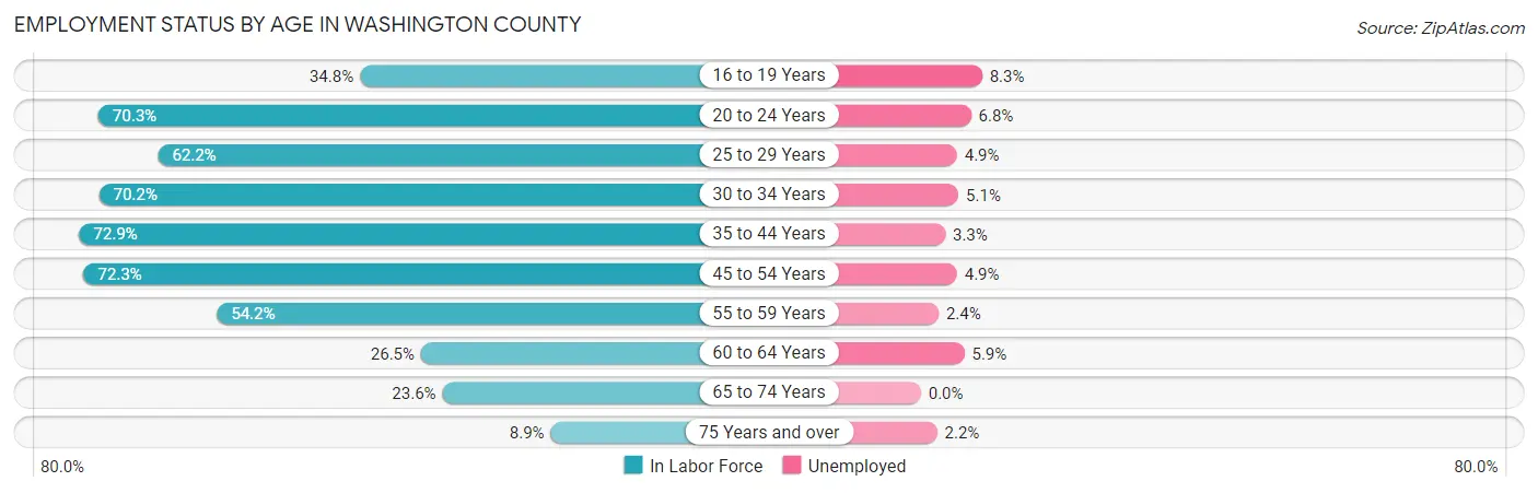 Employment Status by Age in Washington County