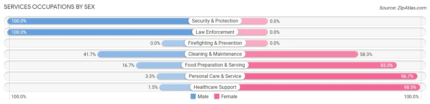 Services Occupations by Sex in Worth County