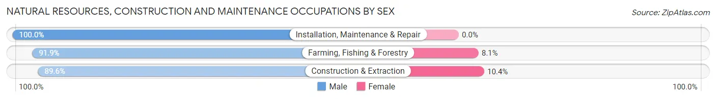 Natural Resources, Construction and Maintenance Occupations by Sex in Wright County