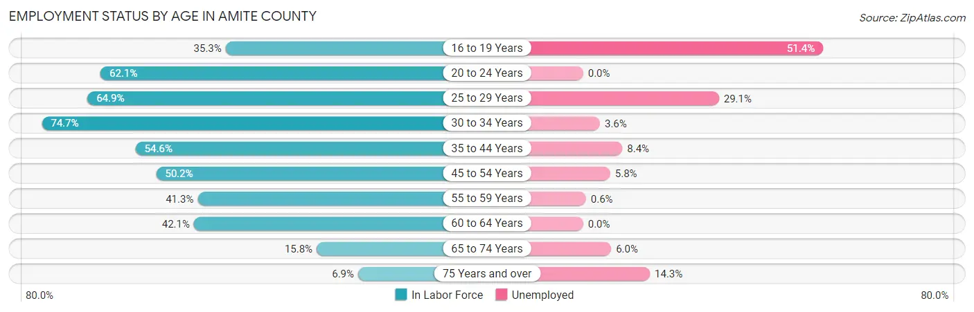 Employment Status by Age in Amite County