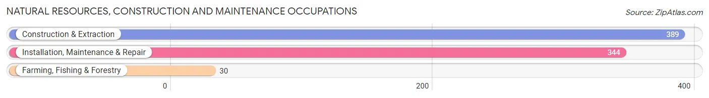 Natural Resources, Construction and Maintenance Occupations in Attala County