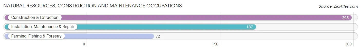 Natural Resources, Construction and Maintenance Occupations in Chickasaw County