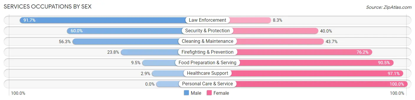 Services Occupations by Sex in Chickasaw County