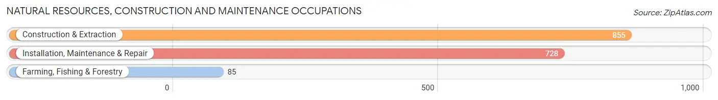 Natural Resources, Construction and Maintenance Occupations in George County