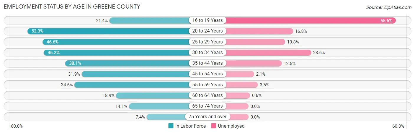 Employment Status by Age in Greene County