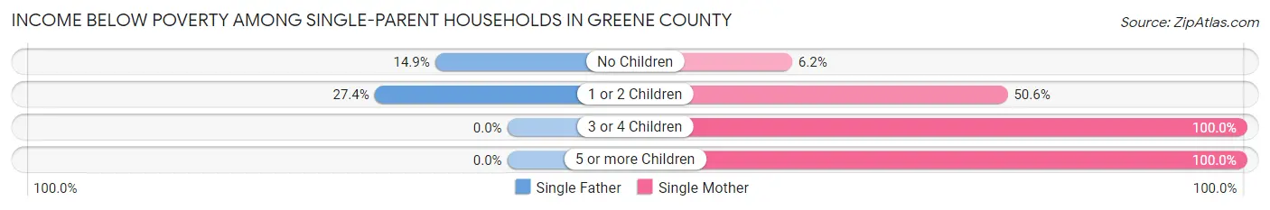 Income Below Poverty Among Single-Parent Households in Greene County