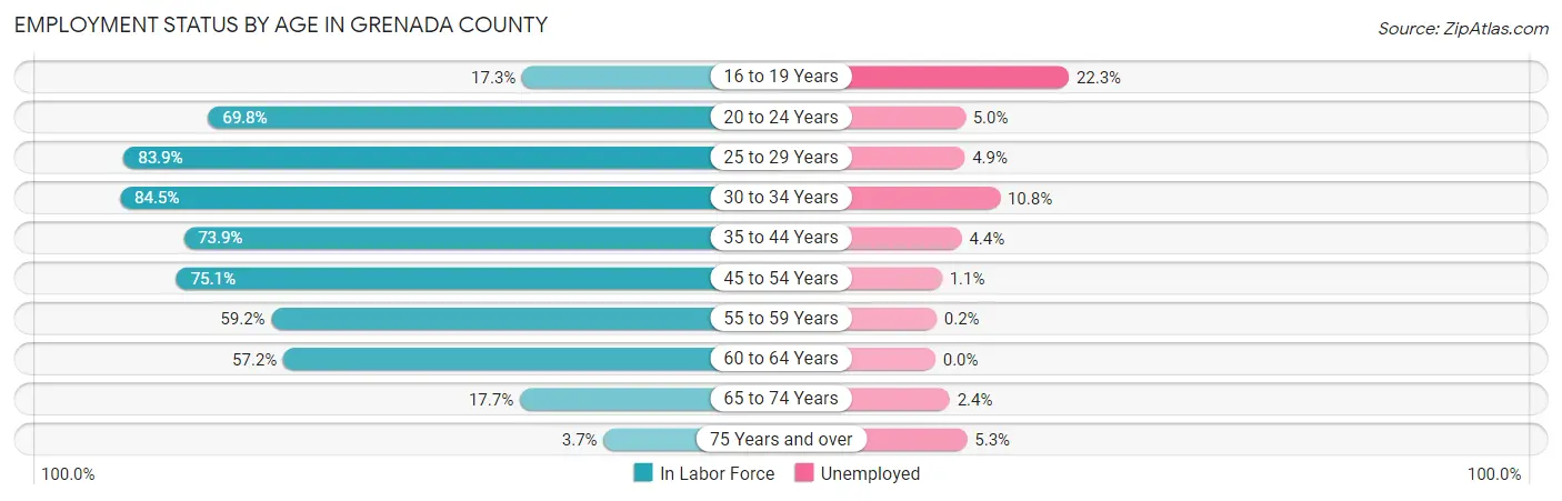 Employment Status by Age in Grenada County