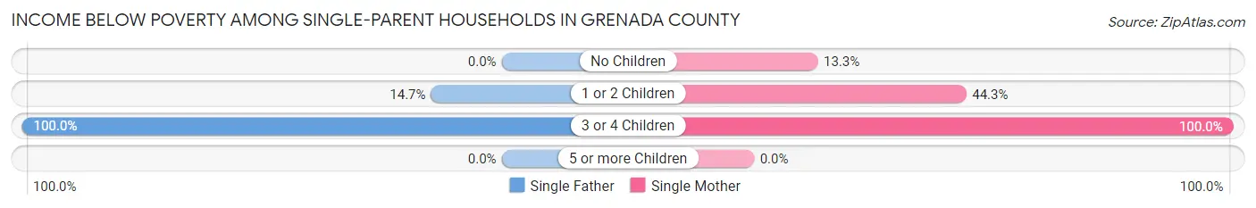 Income Below Poverty Among Single-Parent Households in Grenada County