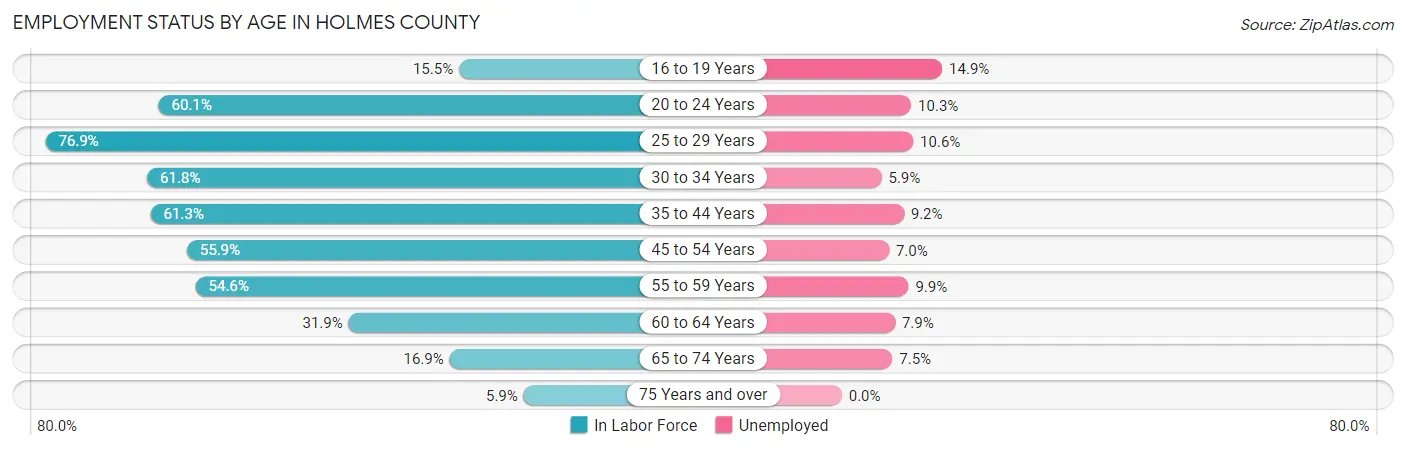 Employment Status by Age in Holmes County