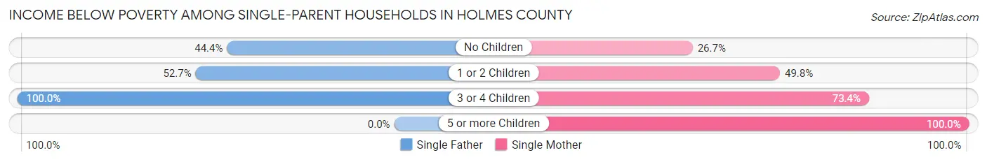 Income Below Poverty Among Single-Parent Households in Holmes County