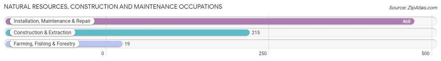 Natural Resources, Construction and Maintenance Occupations in Holmes County