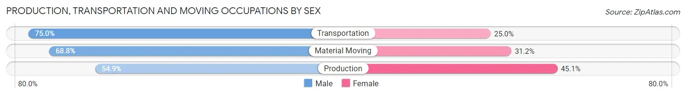 Production, Transportation and Moving Occupations by Sex in Holmes County