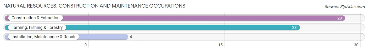 Natural Resources, Construction and Maintenance Occupations in Issaquena County