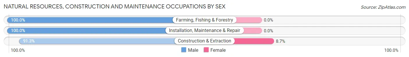 Natural Resources, Construction and Maintenance Occupations by Sex in Itawamba County