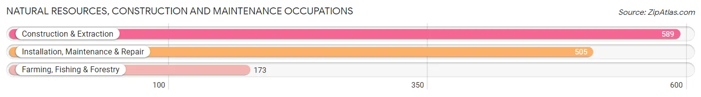 Natural Resources, Construction and Maintenance Occupations in Itawamba County