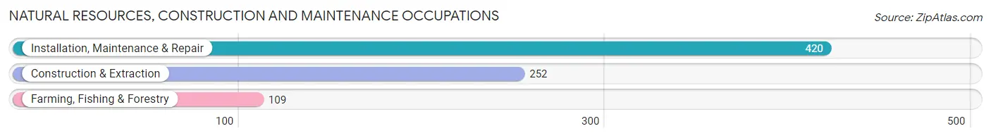 Natural Resources, Construction and Maintenance Occupations in Jasper County
