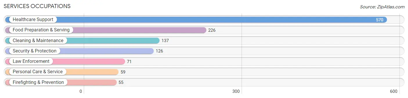 Services Occupations in Jasper County