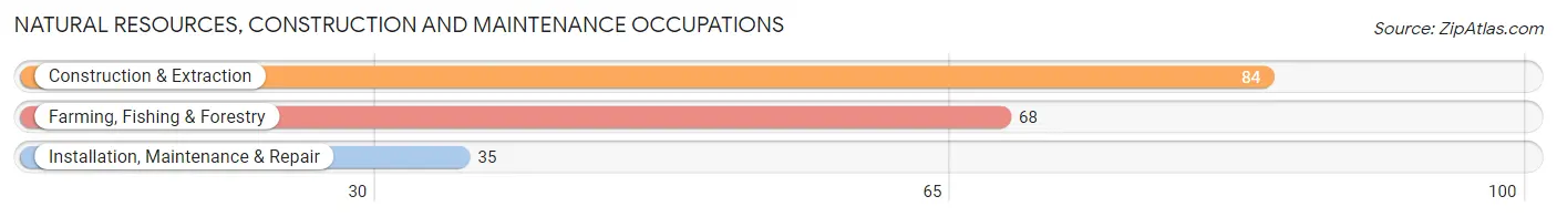 Natural Resources, Construction and Maintenance Occupations in Kemper County