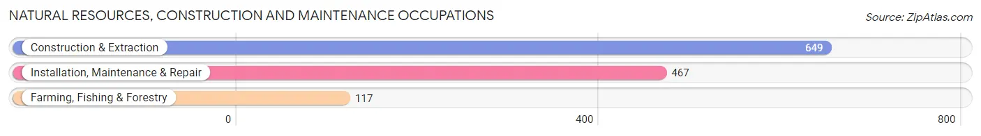 Natural Resources, Construction and Maintenance Occupations in Leake County