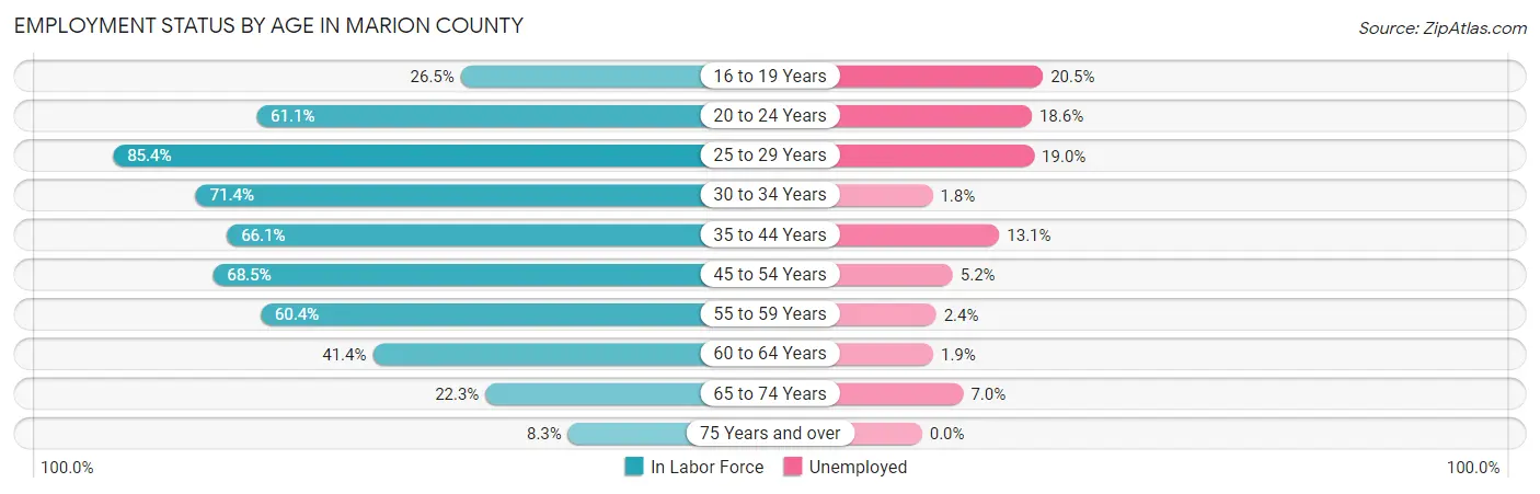 Employment Status by Age in Marion County