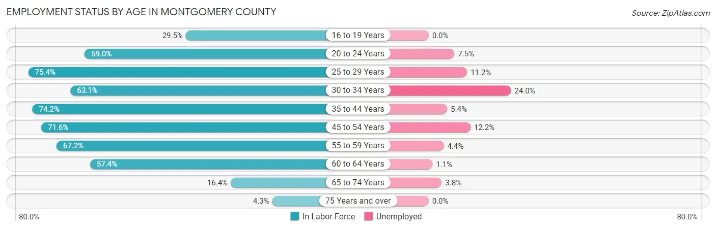 Employment Status by Age in Montgomery County
