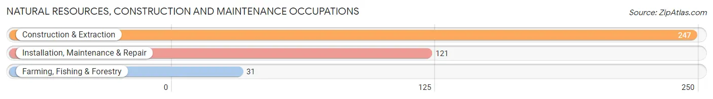 Natural Resources, Construction and Maintenance Occupations in Montgomery County