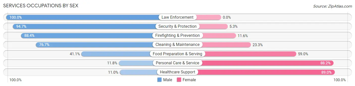 Services Occupations by Sex in Newton County
