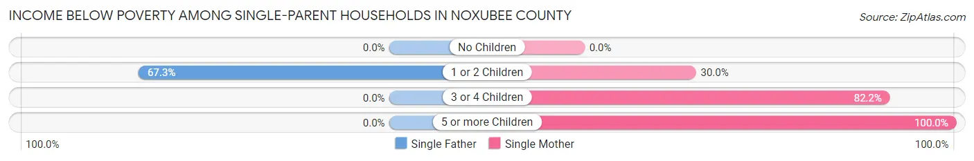 Income Below Poverty Among Single-Parent Households in Noxubee County