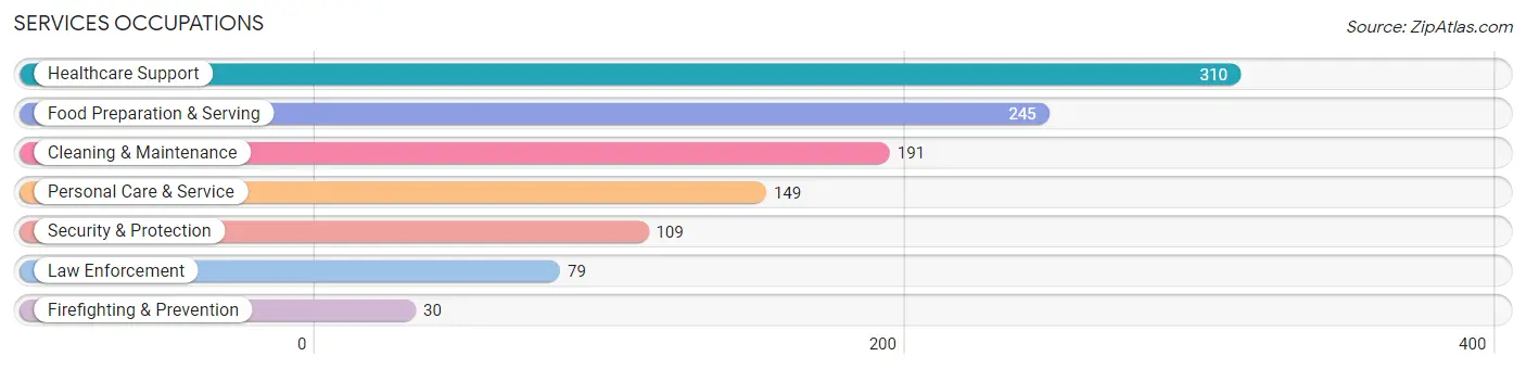Services Occupations in Perry County