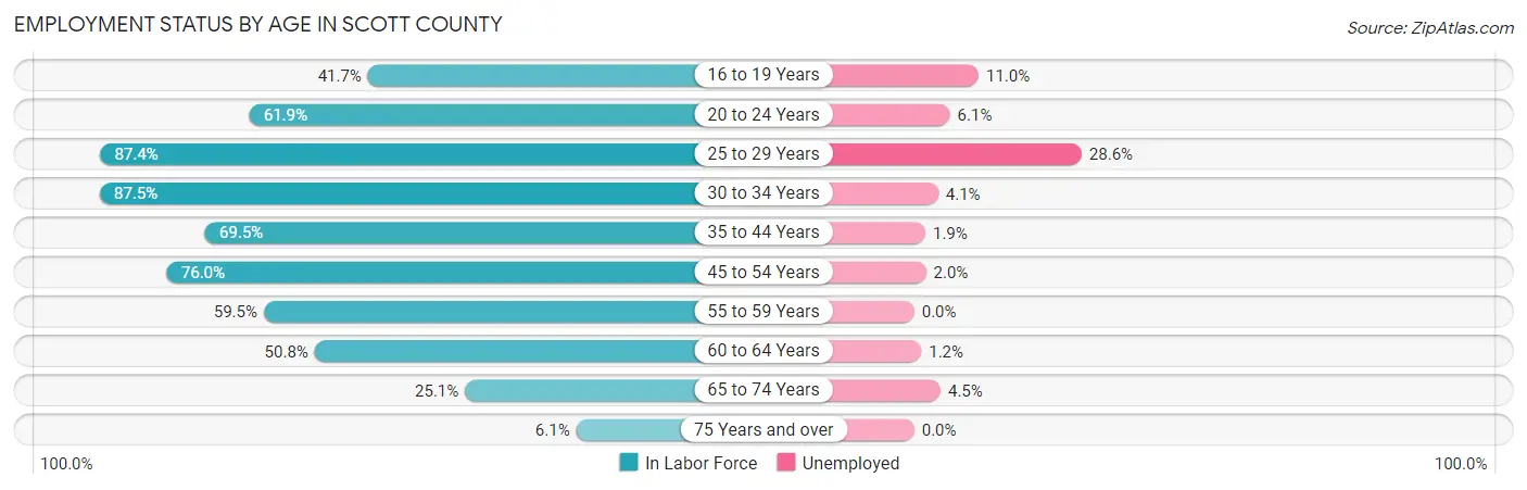 Employment Status by Age in Scott County