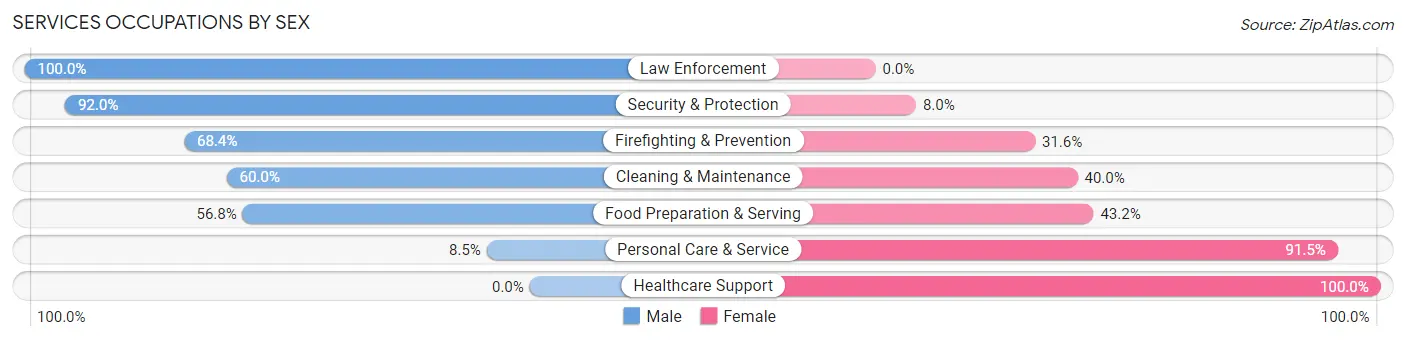Services Occupations by Sex in Scott County