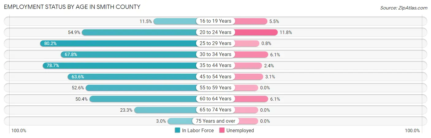 Employment Status by Age in Smith County