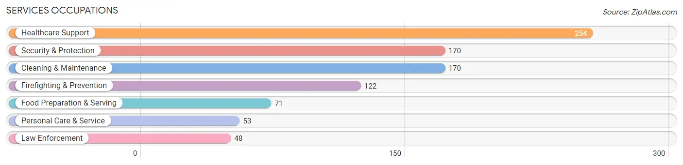 Services Occupations in Smith County