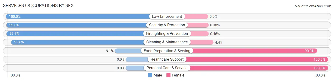 Services Occupations by Sex in Stone County