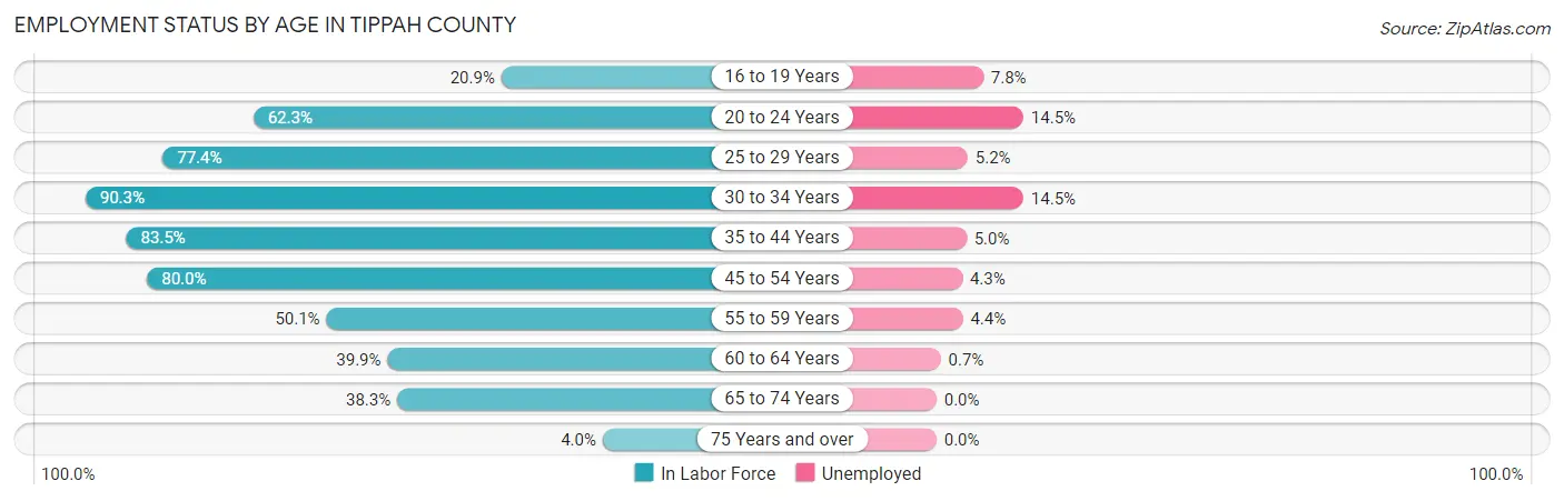 Employment Status by Age in Tippah County