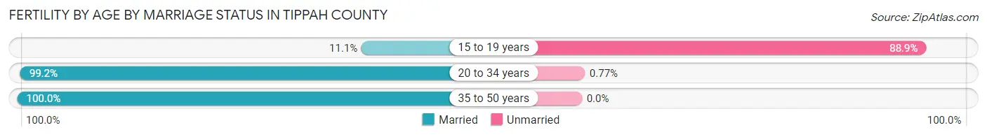 Female Fertility by Age by Marriage Status in Tippah County