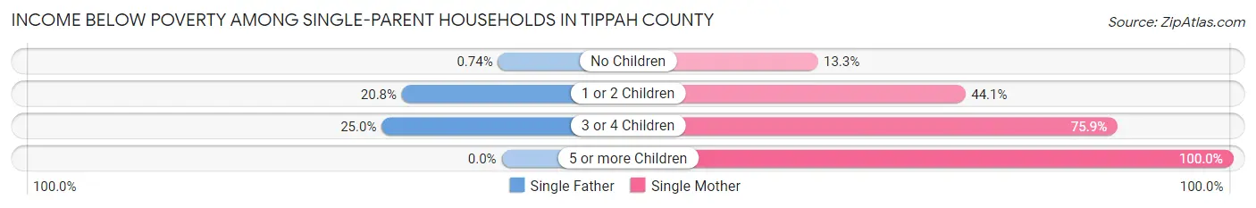 Income Below Poverty Among Single-Parent Households in Tippah County