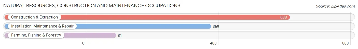 Natural Resources, Construction and Maintenance Occupations in Tippah County