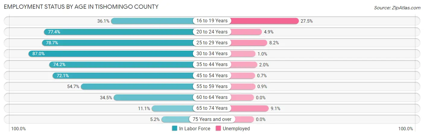 Employment Status by Age in Tishomingo County