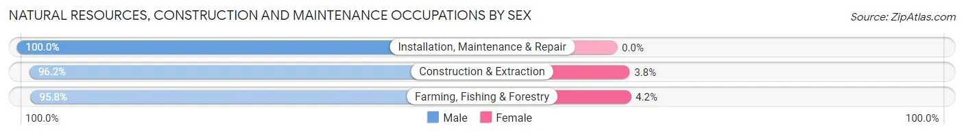 Natural Resources, Construction and Maintenance Occupations by Sex in Tishomingo County