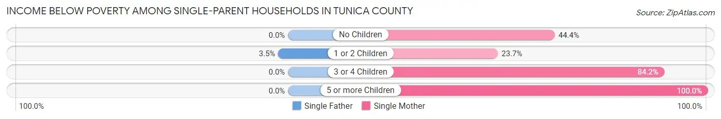 Income Below Poverty Among Single-Parent Households in Tunica County