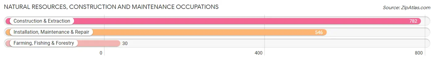 Natural Resources, Construction and Maintenance Occupations in Union County