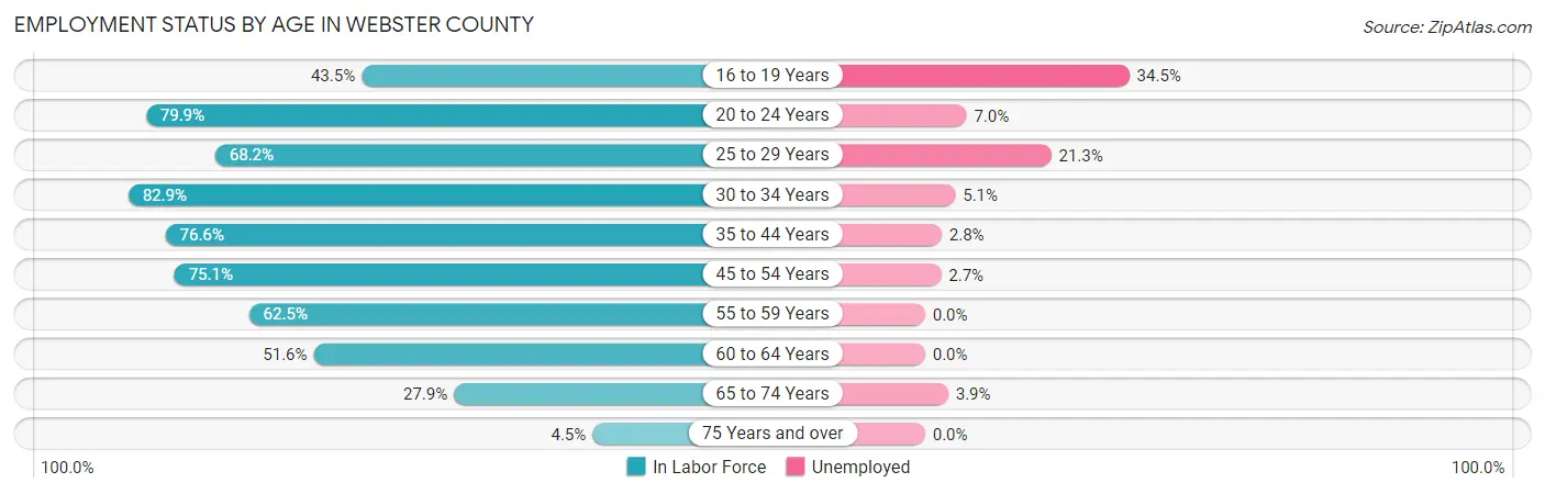 Employment Status by Age in Webster County