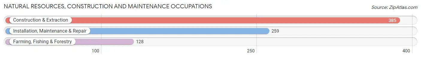Natural Resources, Construction and Maintenance Occupations in Winston County