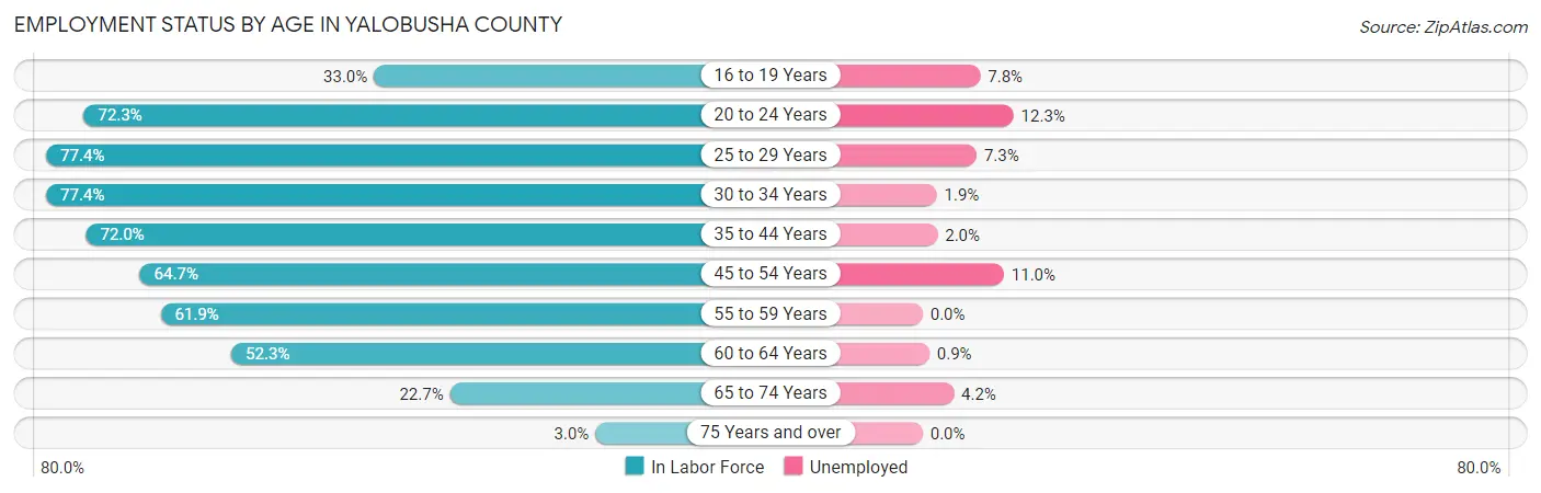 Employment Status by Age in Yalobusha County