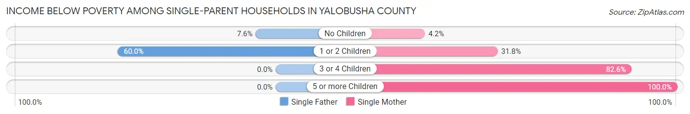 Income Below Poverty Among Single-Parent Households in Yalobusha County